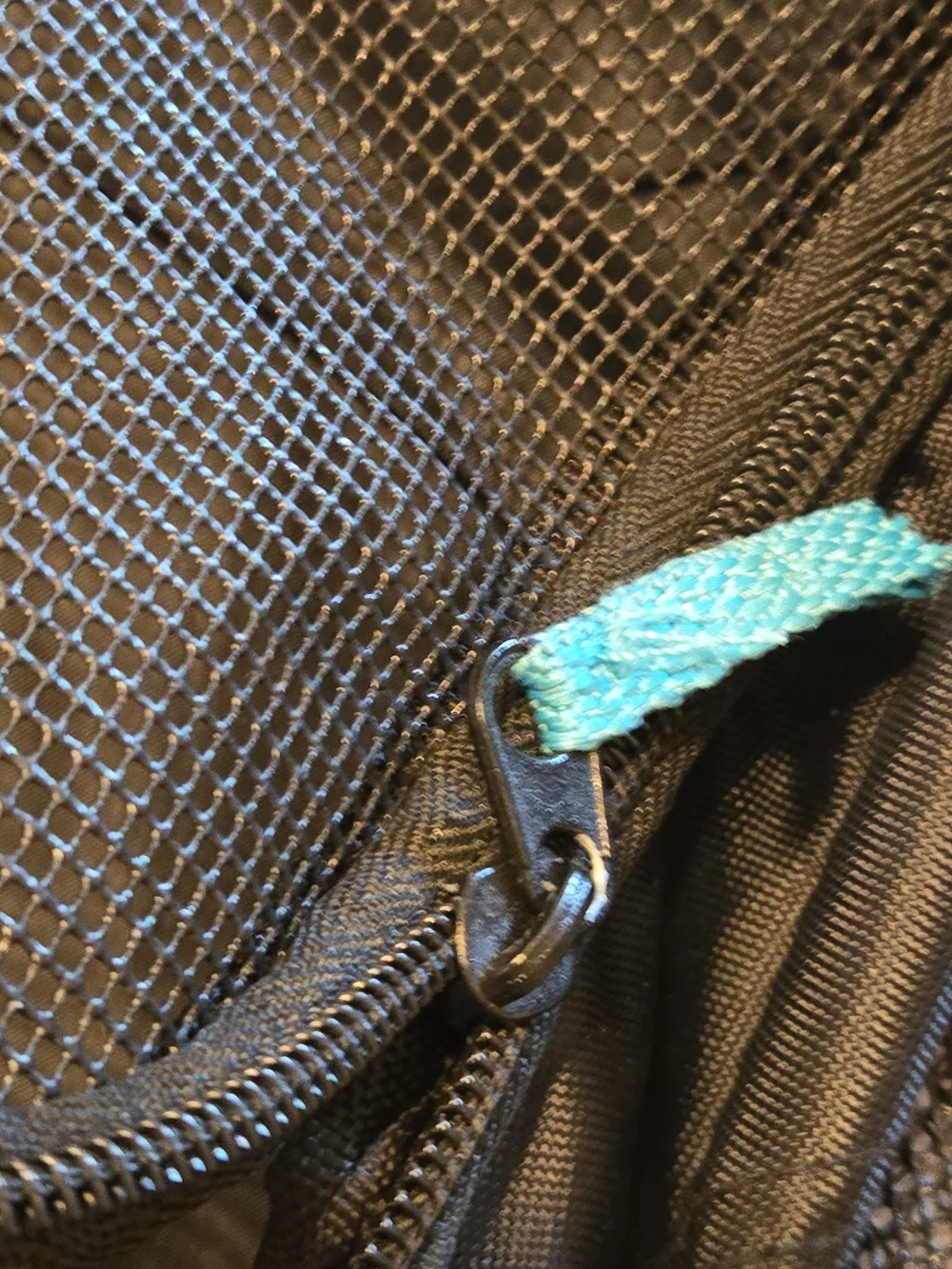 Top Paw Gray and Teal Pet Backpack Carrier